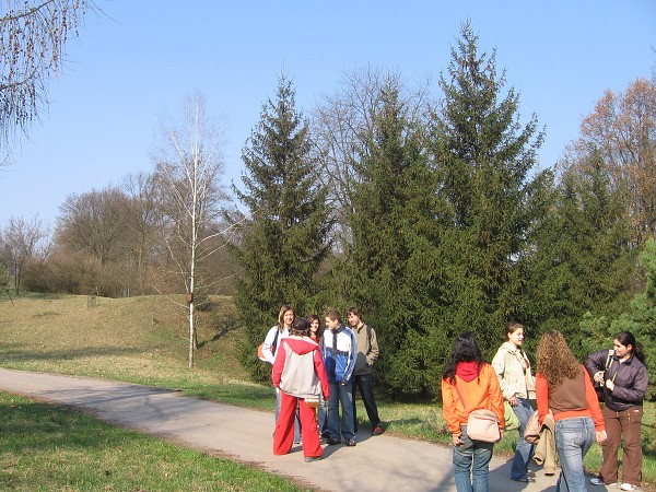 Arborétum Borová hora a Hronsek